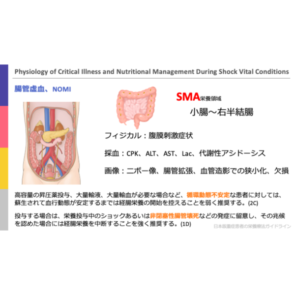 重症病態1/4 | 重症病態の生理学とショックバイタル時の栄養管理 - 画像 (3)